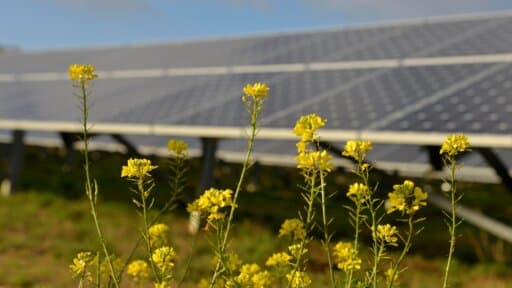 New Wiltshire HQ for Good Energy