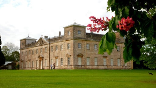 ‘Commercial solutions’ sought by council for Lydiard House and Park