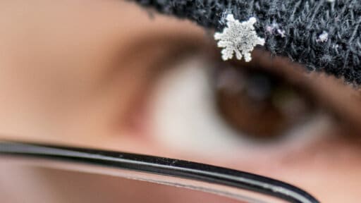 Snow Day Pictures