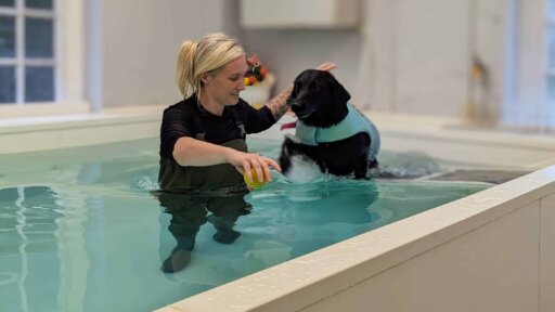 Wiltshire business on the front paw thanks to start up loan