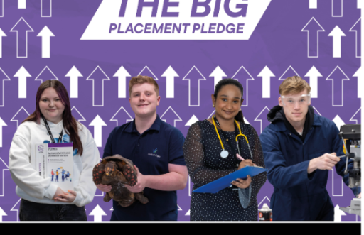 graffic for Big Placement Pledge, a campaign from Wiltshire College & University Centre