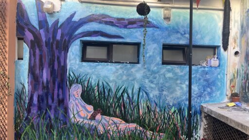 Wiltshire art students gain invaluable work experience in Porto  