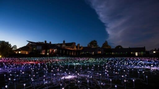 Light art installation marks 50 years of Dorothy House
